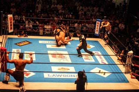 japanese mixed wrestling|NEW JAPAN PRO